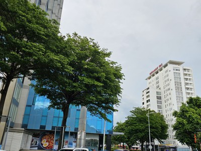 Chính chủ bán nhà tại 134/24 đường 30/4, phường phú hòa, thủ dầu một, bình dương 0