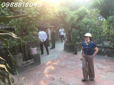 Ngân hàng phát mại nhà đất dân lý, huyện triệu sơn, tỉnh thanh hóa, 474m2, mt 18m, 504tr 2