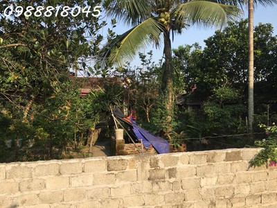 Ngân hàng phát mại nhà đất dân lý, huyện triệu sơn, tỉnh thanh hóa, 474m2, mt 18m, 504tr 4