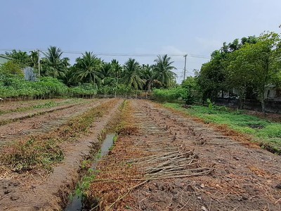 Lô đất khủng 4000m full thổ hết 98 3