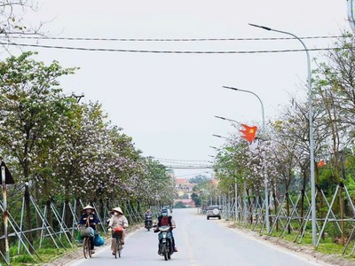 Bán đất tại xã yên mỹ, thanh trì, hà nội. làng du lịch sinh thái yên mỹ hót 0