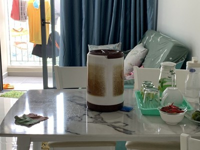 Chính chủ bán căn hộ 1pn đã nhận nhà becons bee dĩ an bình dương giá rẻ 3