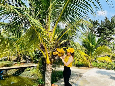 Chính chủ cần bán nhà vườn có view suối nước chảy quanh năm tuyệt đẹp hiếm có ở châu đức, brvt 3
