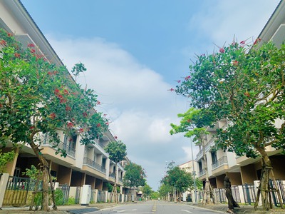 Em Nguyên cần bán nhà 3 tầng 80m2 view công viên, trục thông ngay cạnh Vinhomes Vũ Yên giá 3,8tỷ 1