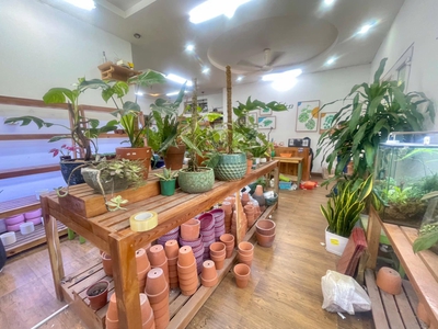 Cho thuê nhà sân vườn 300m2 kđt định công 1