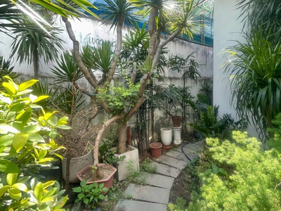 Cho thuê nhà sân vườn 300m2 kđt định công 2