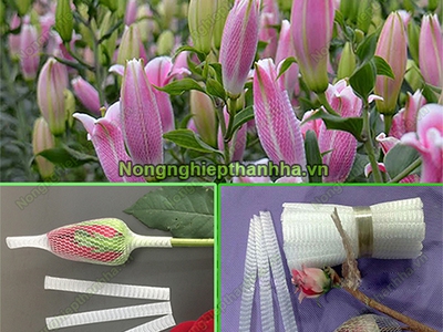 Cơ sở phân phối số lượng lớn túi lưới đựng trái cây tại Hà Nội 7