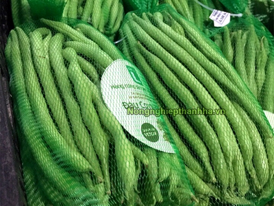 Cơ sở phân phối số lượng lớn túi lưới đựng trái cây tại Hà Nội 4