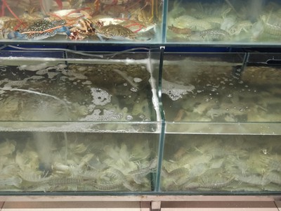 Cần sang gấp quán đang kinh doanh 3