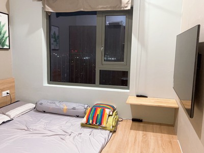 Cần cho thuê căn hộ gấp tại diamond lotus riverside bến nguyễn duy 1