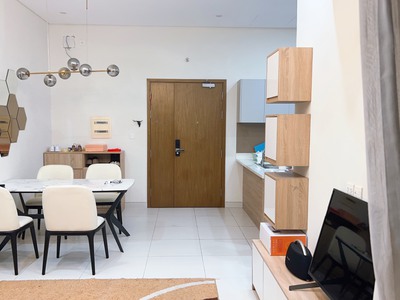 Cần cho thuê căn hộ gấp tại diamond lotus riverside bến nguyễn duy 3