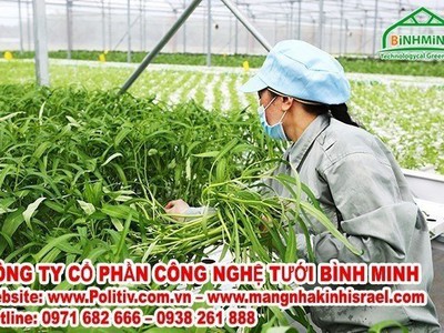 Công ty nông nghiệp công nghệ cao Vineco của tập đoàn Vingroup lựa chọn màng politiv israrel 2