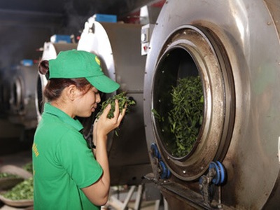 Quy trình sản xuất trà Ô long đạt chuẩn - Máy sấy khô trà khay xoay tròn tự động 0