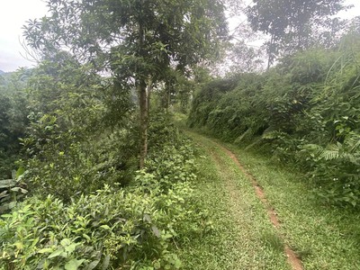 Chính chủ cần cho bán nhanh lô đất trang trại tại km32 vị xuyên - hà giang 1