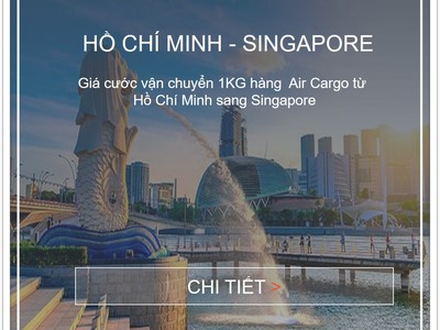 Giá cước vận tải hàng không từ Hồ Chí Minh sang Singapore 0