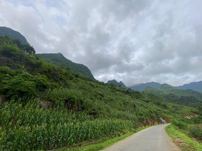 Cắt lỗ lô đất 3800m2 ở Quản Bạ, Hà Giang 2