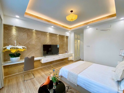 Bán Siêu Phẩm Nhà Phố Đường Quang Trung, Quận Gò Vấp, Hồ Chí Minh 10