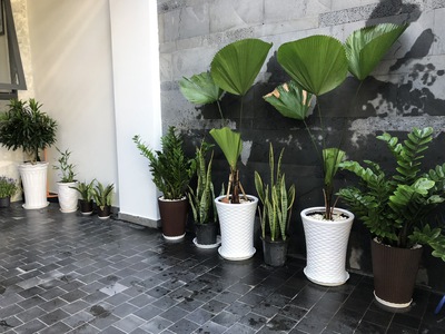 Cho thuê nhà nguyên căn đủ nội thất kdc Hồng Long, Hiệp Bình Phước,TĐ 12