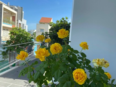 Cho thuê nhà nguyên căn đủ nội thất kdc Hồng Long, Hiệp Bình Phước,TĐ 6