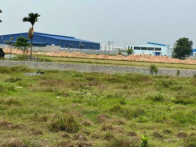 Ngộp bank cần bán gấp đất ngay trung tâm thị trấn hóc môn 2