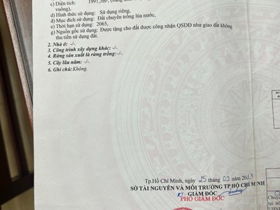 Bán đất mặt tiền đường nhựa 12m đường cây trôm - mỹ khánh. 1