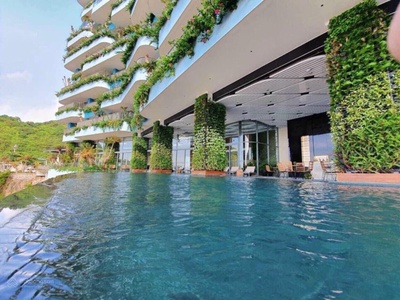 Cần bán căn hộ khách sạn flamingo cat ba beach resort, thị trấn cát bà, cát hải, hải phòng 0