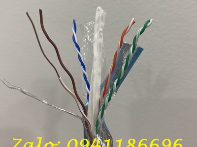 Sẵn số lượng Cáp mạng CAT6A FTP-STP bọc bạc chống nhiễu ANCOMTECK ACT-BOX305-6AWHITE 2