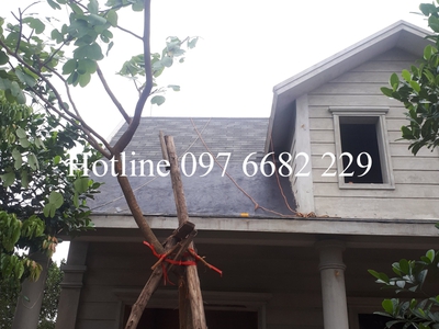 Đối tác tin cậy cho ngói lợp bitum phủ đá chất lượng và uy tín 0