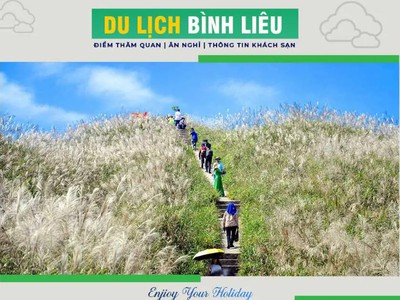 Tour Bình Liêu 0
