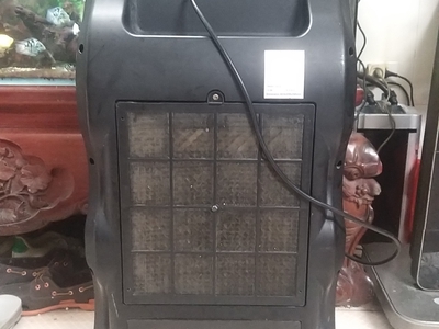 Bán quạt hơi nước Daichipro 5
