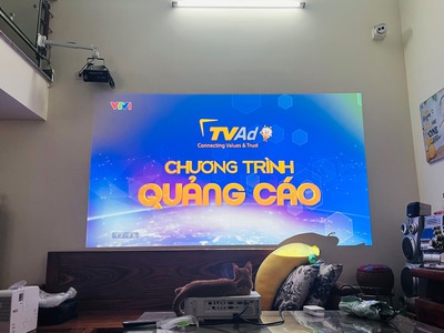 Máy chiếu Nec thay thế tivi 1