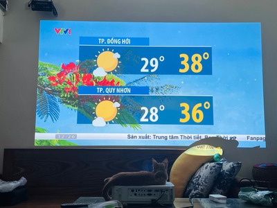 Máy chiếu Nec thay thế tivi 4