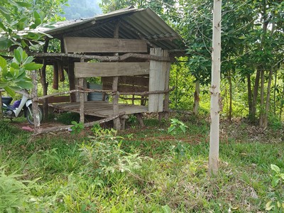 Chính chủ cần bán lô đất trang trại thuộc km 30 minh ngọc - bắc mê - hà giang. 1