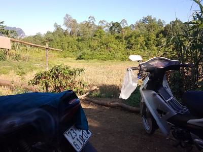 Chính chủ cần bán lô đất trang trại thuộc km 30 minh ngọc - bắc mê - hà giang. 0