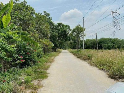 Kẹt nợ cần bán đất thổ cư 185 m2,tại Hớn Quản,Bình Phước 0