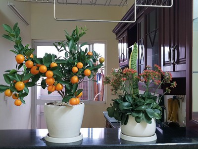 Bán chung cư No11 khu đô thị Sài Đồng, chỉ 1,6 tỷ 70m2, 2 ngủ full đồ về ở được ngay 1