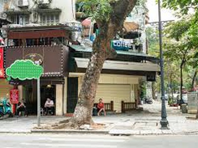 Cho thuê mbkd phố nguyễn đức cảnh quận hoàng mai, chỉ 18tr/1 tháng 0