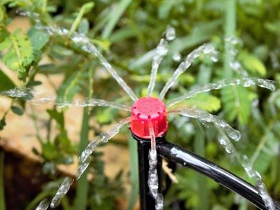 Bộ kít nhỏ giọt tưới bán tự động gồm 10 béc tưới 8 tia que cắm, 10m ống 6mm và đầu chuyển đổi 4