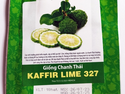 Hạt giống Chanh Thái, Chanh Não, Chanh Chúc Kaffir Lime 327 Rạng Đông 0