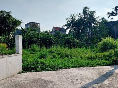 Chính chủ cần bán lô đất siêu đẹp tại đường 354 AN LÃO, HẢI PHÒNG. 3