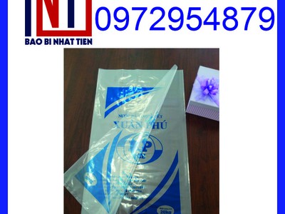 Bao bì nước đá, in bao bì nilon đựng nước đá 4