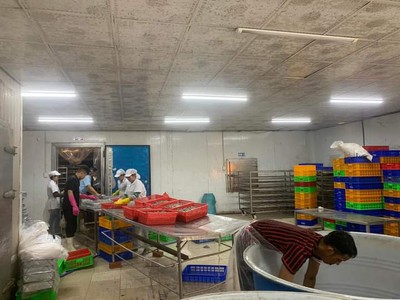 Chính chủ cho thuê nhà xưởng cao thoáng  tại đường hưng nhơn, ấp 2 xã tân kiên, huyện bình chánh, 4