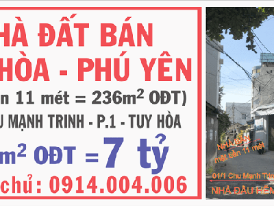 Chính chủ bán nhà đất cấp 4 đường Chu Mạnh Trinh, Phường 1, TP. Tuy Hòa, Tỉnh Phú Yên 2