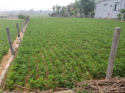 Chính chủ kẹt ngân hàng cần bán gấp trong 1 tuần giảm giá sâu cho khách thiện chí lh 0902 248 463 1