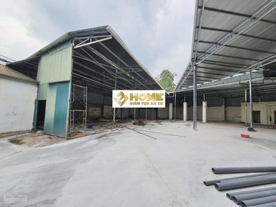 X469. cho thuê kho/xưởng khu vực an lão 5000m phù hợp làm kho chứa và sản xuất kinh doanh 0