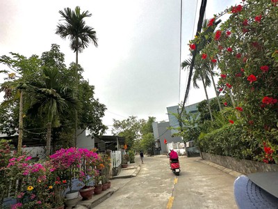 Bán lô 2 mặt tiền, Hòa Châu, Hòa Vang 0