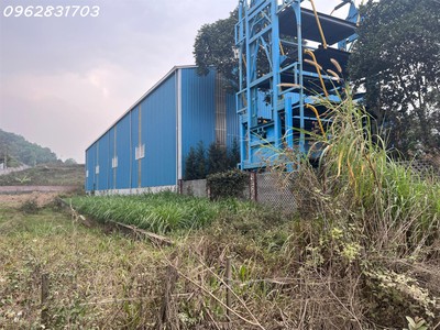 Chủ cần tiền bán 350m trục chính bãi dài giá tốt nhất thị trường 4