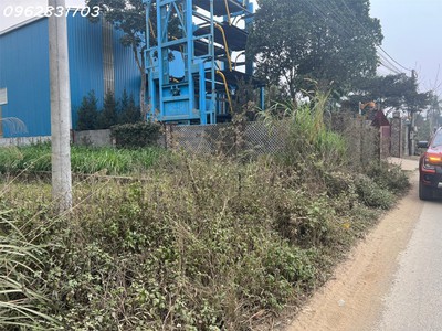 Chủ cần tiền bán 350m trục chính bãi dài giá tốt nhất thị trường 2