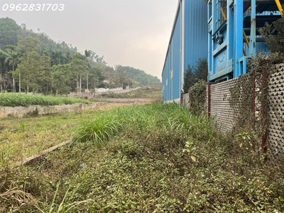 Chủ cần tiền bán 350m trục chính bãi dài giá tốt nhất thị trường 3