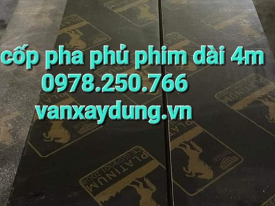 Ván ép phủ phim dài 4m đổ cột tại Tp. Rạch Giá, Kiên Giang 1